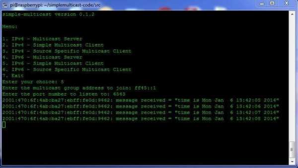 Simple Multicast screenshot 1