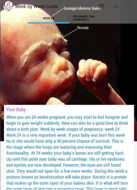 Pregnancy Stages 1 تصوير الشاشة