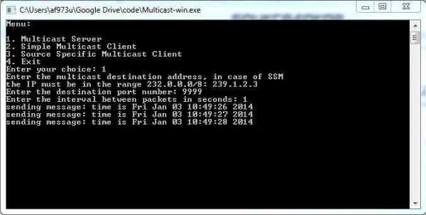 Simple Multicast screenshot 2