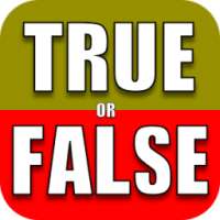 True or False Quiz Challenge