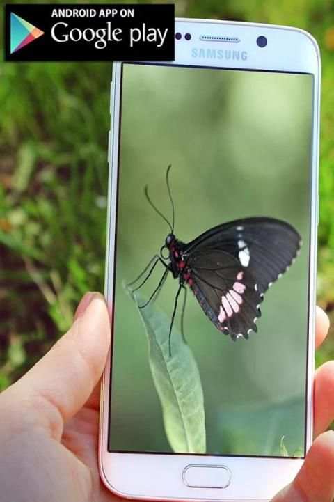 Mega Zoom Camera Pro 2017 screenshot 3