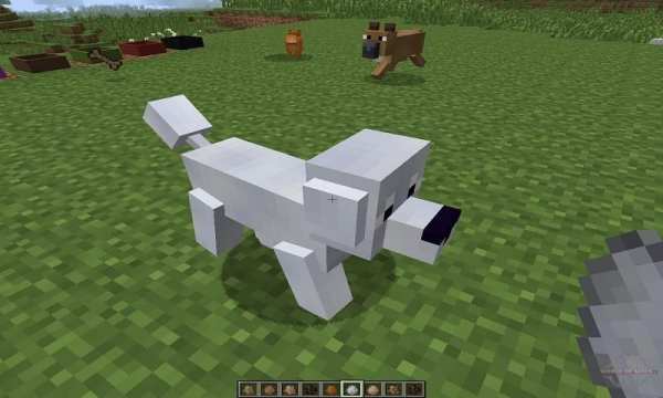 Dogs Mod screenshot 3