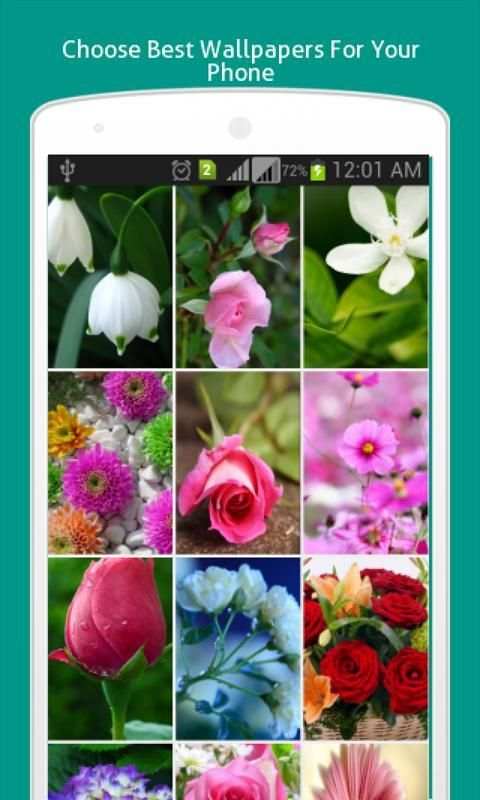 Flower Wallpapers HD screenshot 4