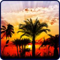 Sunset HD Live Wallpaper on 9Apps