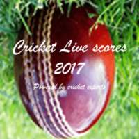 Cricket Live Scores App - News