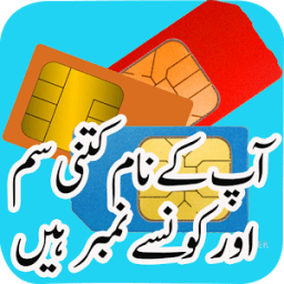 Pakistan SIM Information أيقونة