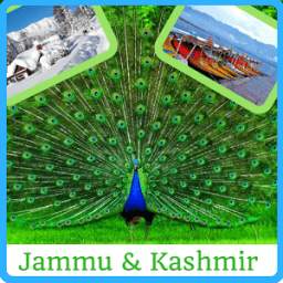 Jammu & Kashmir News