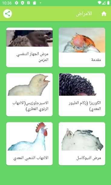 هواة الطيور
‎ screenshot 1