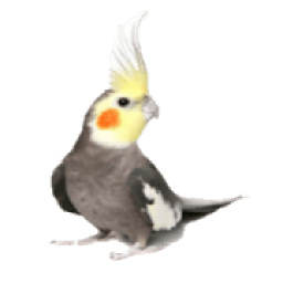 ikon هواة الطيور
‎