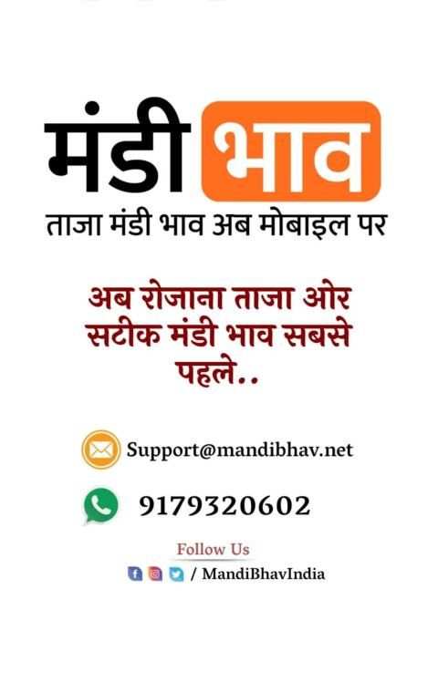Mandi Bhav - मंडी भाव screenshot 2