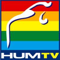 ikon HUM TV Dramas Live in HD