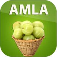 Benefits of Amla on 9Apps