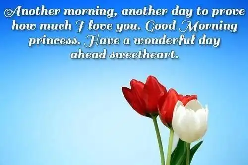 Love Images With Quotes App لـ Android Download Apktom