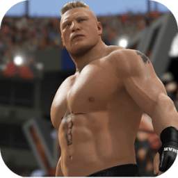 Guide for WWE 2K Immortals 1.0