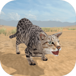 Cat Survival Simulator आइकन