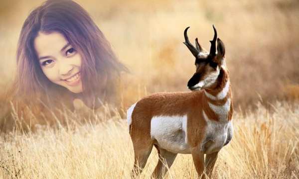 Animal Photo Frames स्क्रीनशॉट 2