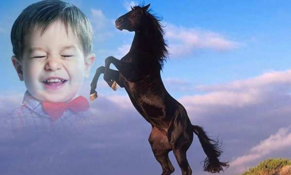 Animal Photo Frames स्क्रीनशॉट 3