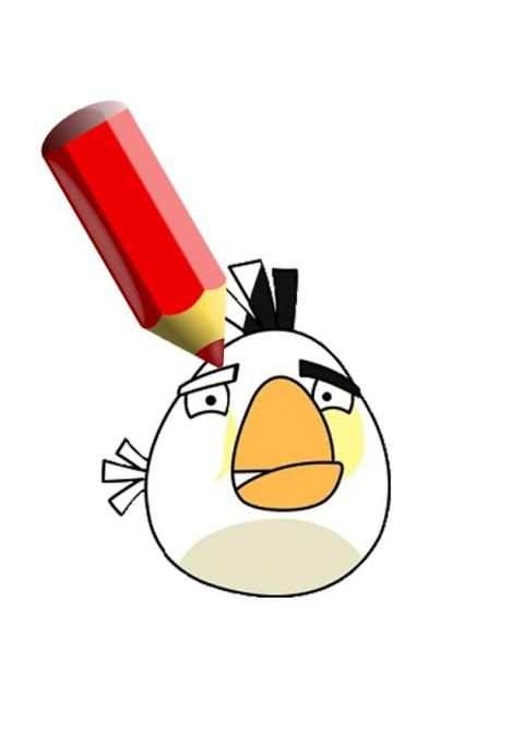 Coloring Book For Angry Birds screenshot 3