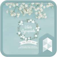 Mint gypsophila Launcher theme