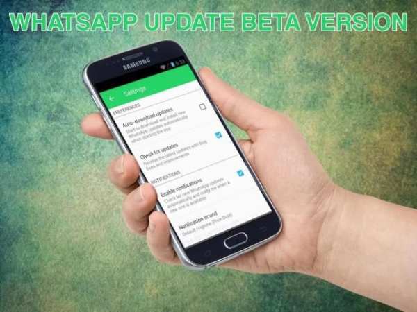 update WhatsApp beta version screenshot 2