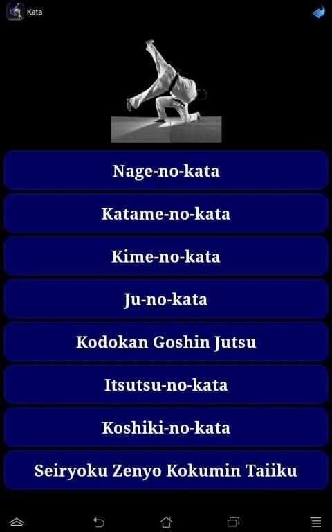Judo in brief screenshot 14