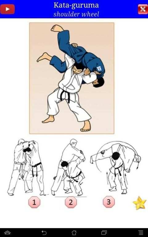 Judo in brief screenshot 12