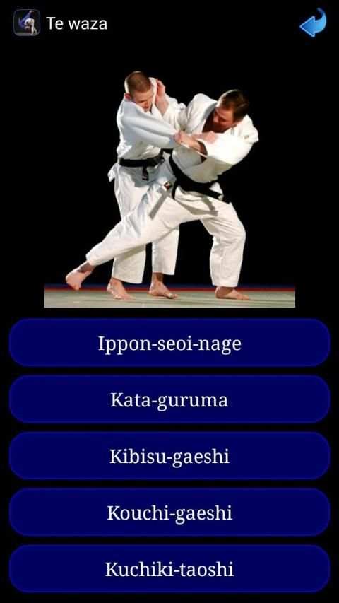 Judo in brief screenshot 17