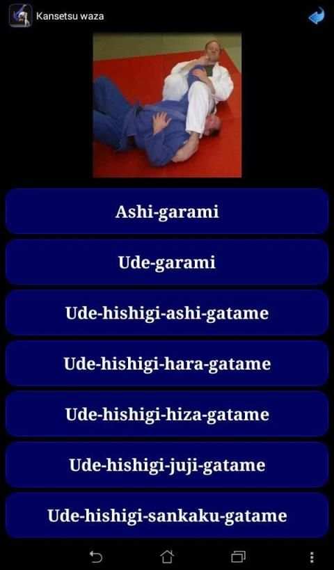 Judo in brief screenshot 2
