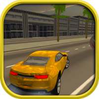 Extreme GT Race Car Simulator