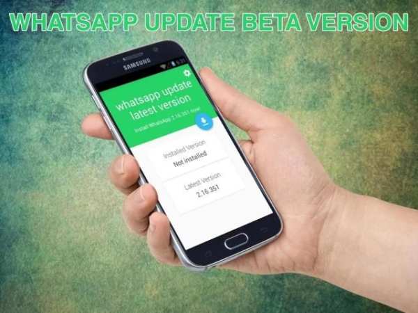 update WhatsApp beta version screenshot 6