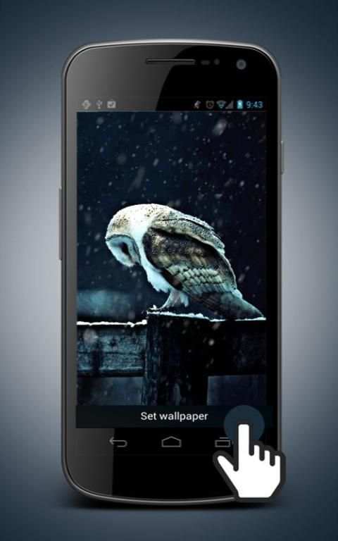 Hedwig Owl Animated Wallpaper स्क्रीनशॉट 3