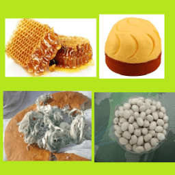 Aksoy Bal أيقونة