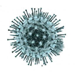 Covid 19 Corona virus coronavirus China virus icon