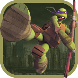 Ninja Running Turtle icon