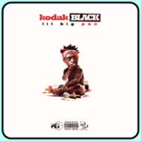 Kodak Black Songs on 9Apps