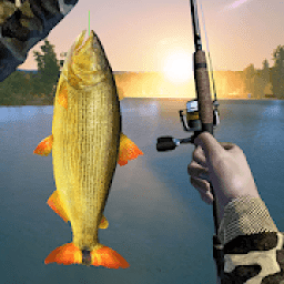 Bass Fishing 3D - Cat Fish Game icon