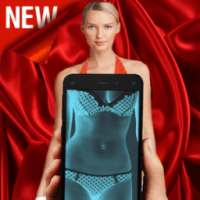 X-Ray Cloth Scanner: Simulator