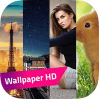 Duvar Kağıtları HD on 9Apps