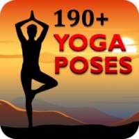 190+ Yoga Poses