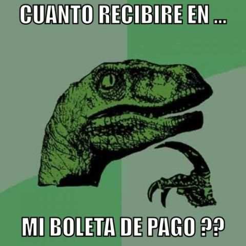 Boleta de Pago screenshot 1