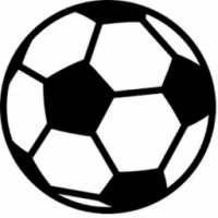 Gol del Torino