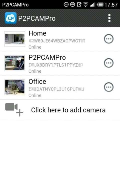 P2PCAMPro скриншот 8