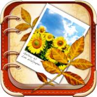 Gallery 3D Live Wallpaper on 9Apps