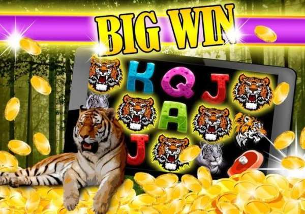 Slots: Angry Buffalo скриншот 4