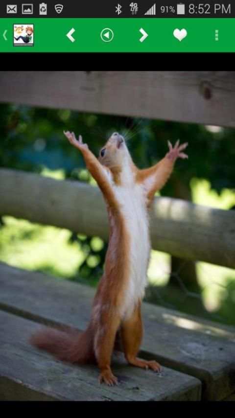 Funny Images, Status, Memes... screenshot 8