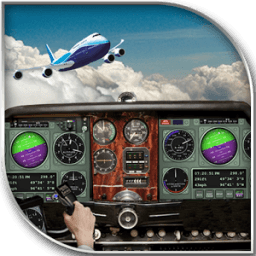 Airplane Driving Simulator icon