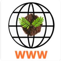 Super Lite Powerful Browser