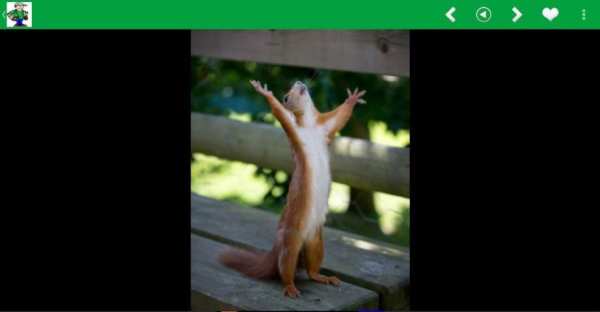 Funny Images, Status, Memes... screenshot 4