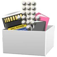 SD Card Recovery File