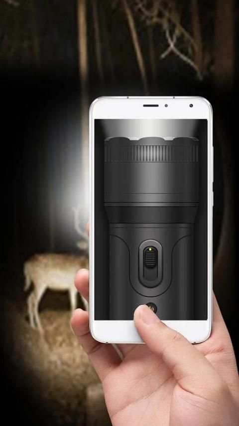 Torch Light screenshot 3